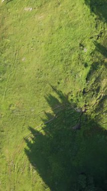 Avrupa manzarası, görkemli yuvarlanan dağlar ve yemyeşil tepeler. Hava aracı videosu  