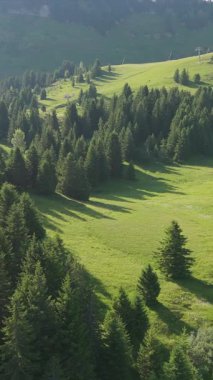Görkemli doğa üzerine hava manzarası. Avrupa dağlarının dikey insansız hava aracı videosu. 