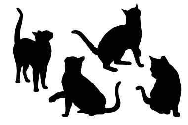 Düz tasarım kediler hayvan silueti Vektör illüstrasyonuName.