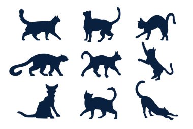 Düz tasarım kediler hayvan silueti Vektör illüstrasyonuName.