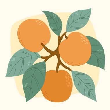 Olgun bir portakal kümesi canlı yeşil yapraklarla çevrili bir narenciye ağacının dalından sarkıyor. Bu güzel manzara doğanın doğal sanatını sergiliyor.