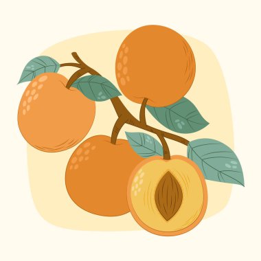 Bir şeftali kümesi meyve veren bir ağacın odunsu dalından sarkan, yeşil yapraklarla çevrili doğal ve sanatsal bir ödül gösterisi.