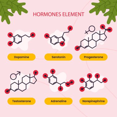 Pembe arka planda gösterilen bir dizi kimyasal hormon. Pembe dikdörtgen farklı hormonları temsil eden çemberlerle doludur. Eflatun renk şemasına sahip grafik tasarımı