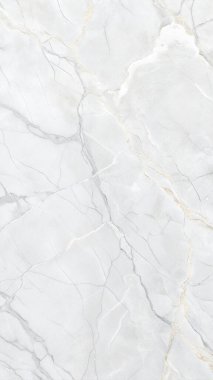 Zarif gri damarları ve parlak taş yüzeyli beyaz mermer dokusu