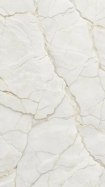 İç Tasarım ve Arkaplan Kullanımı için Doğal Damarlı Beyaz Mermer Doku