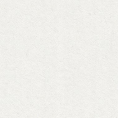 Arkaplan ya da Tasarım Kullanımı için İnce İplikli Açık Gri Geri Dönüşümlü Kağıt DokusuName