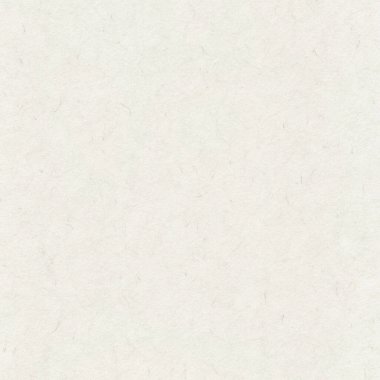 Arkaplan ya da Tasarım Kullanımı için İnce İplikli Açık Gri Geri Dönüşümlü Kağıt DokusuName