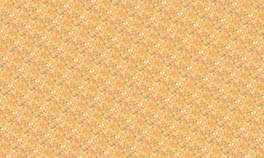 Düzensiz taşımsı şekillere sahip renksiz terrazzo desenleri, yüzeyler, arka planlar ve moda dekorasyon projeleri için ideal..