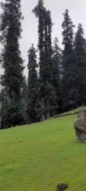 Tarsar Marsar Kashmir Görünmez Güzellik