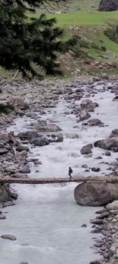 Tarsar Marsar Kashmir Görünmez Güzellik