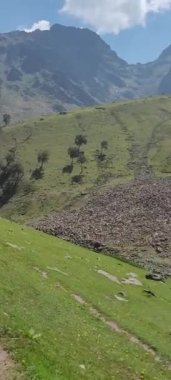 Tarsar Marsar Kashmir Görünmez Güzellik