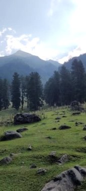 Tarsar Marsar Kashmir Görünmez Güzellik