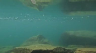 Tarsar Marsar Kashmir Görünmez Güzellik