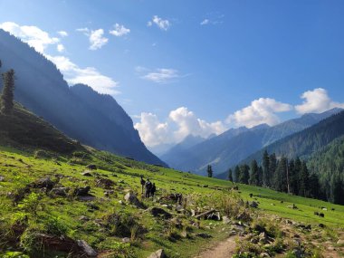 Tarsar Marsar Trek Görünmez Kaşmir 'de