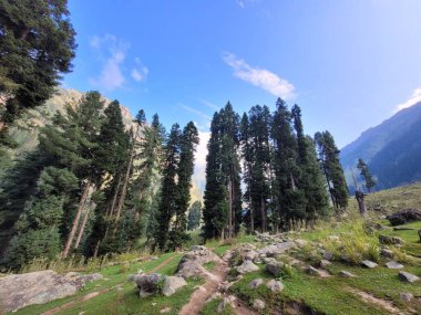 Tarsar Marsar Trek Görünmez Kaşmir 'de