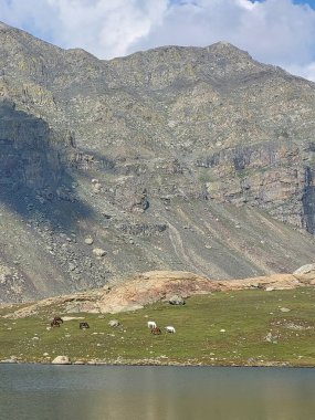 Göllü güzel bir manzara.