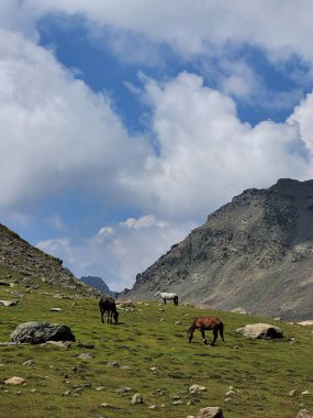 Dağ sırası olan güzel bir manzara.