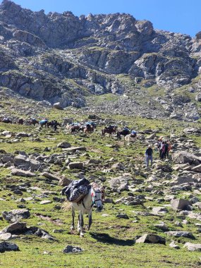 Dağlı ve mavi gökyüzü olan dağ manzarası