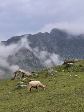 Tarsar Marsar Göl Yolu, Kaşmir