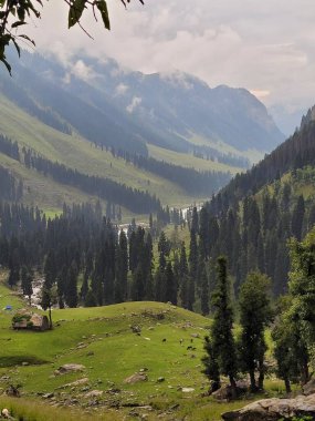 Dağ sırası olan güzel bir manzara.