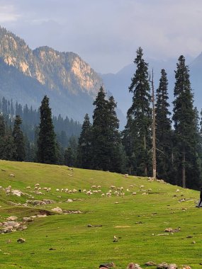 Dağlarda sıradağları olan güzel bir manzara.