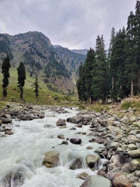 Dağlardaki nehrin güzel manzarası