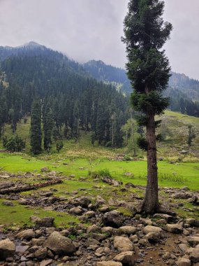 Arkasında bir dağ olan güzel bir manzara.
