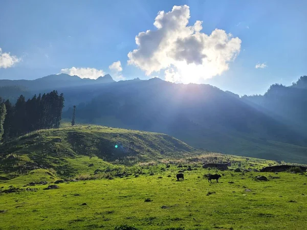 Тарсар Марсар Трек Невидимом Кашмире — стоковое фото