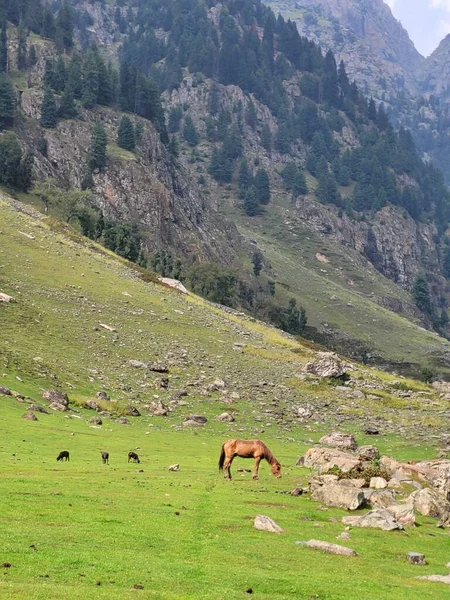 Тарсар Марсар Трек Невидимом Кашмире — стоковое фото