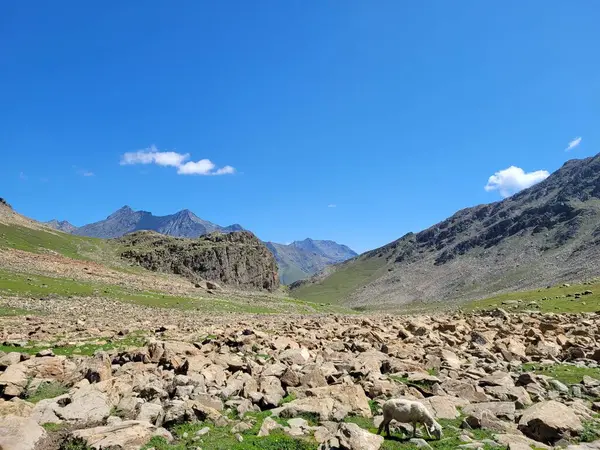 Prachtig Landschap Van Kaukasus Bergen — Stockfoto