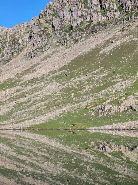 Tarsar Marsar Lake Trek Kaschmir — Stockfoto