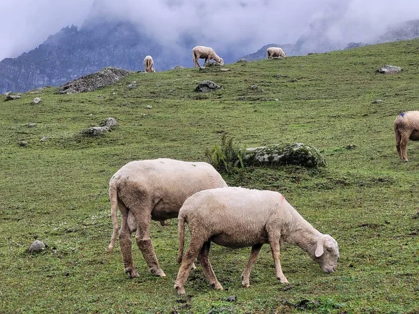 Tarsar Marsar Göl Yolu, Kaşmir