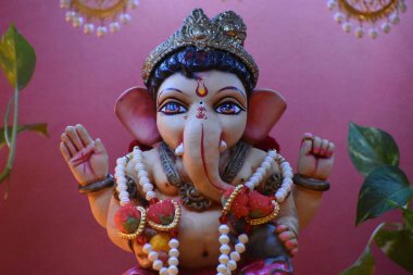 Hindistan festivalleri aile neşesini kutladı