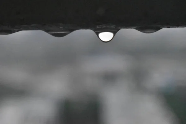 雨と水のドロップ — ストック写真