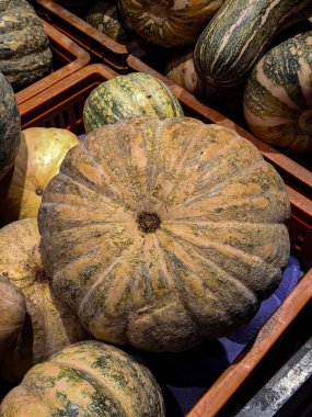 Ripe pumpkin on display, ready for sale. Ideal for culinary and decorative uses, especially during Halloween and Thanksgiving. clipart