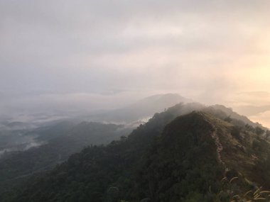 Berekeh, Perak, Malezya 'daki tepe manzarası.