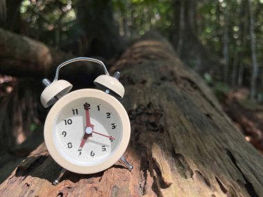 Düşen ağaç gövdesine takılmış bir çalar saat. 7 oktanlı görünüyor..