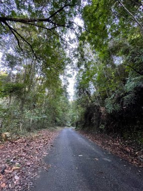 Perak, Malezya 'da yer alan Kledang Tepesi' nin asfalt yürüyüş patikalarının görüntüsü.