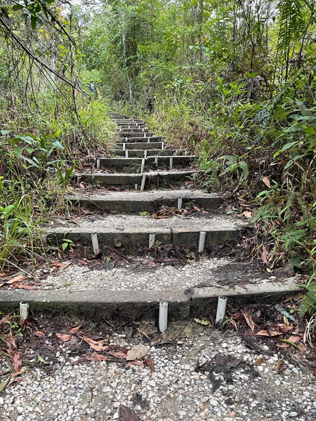 전통적인 남자는 Kledang 말레이시아에 위치한 하이킹 트레일을 계단을 만들었습니다 — 스톡 사진