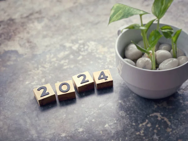 Yeni yıl finansal planı konsepti. 2024 ahşap bloklara yazılmış. Bulanık stil arkaplanlı.