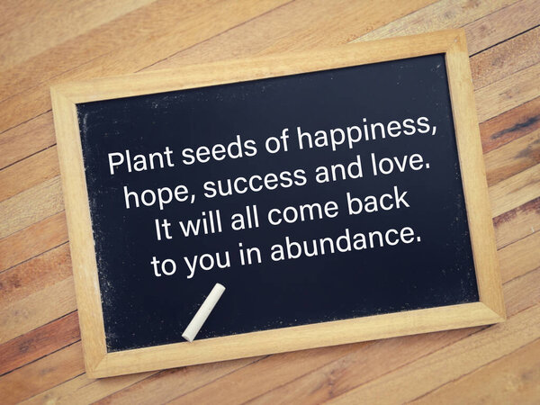 Мотивационная и мотивационная формулировка. Растительное семя счастья, надежды, успеха и любви. It Will All Come Back To You In Abundance написано на доске. С размытым стилизованным фоном.