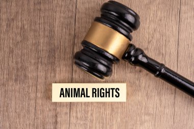 Gavel ve kelime hayvan hakları tahtadan bir bloğa yazılmış. Ahşap masa arkaplanı