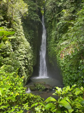 Endonezya 'nın Bali yağmur ormanlarında tropik Leke-leke Şelalesi