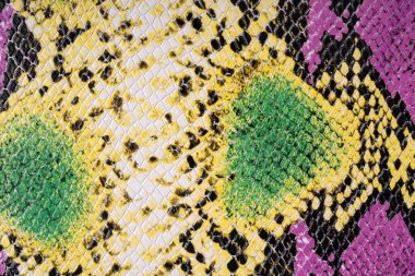 Renkli piton yılanı derisine yakın.