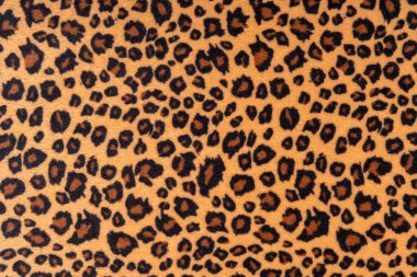 Leopar kürkünün dokusunu kapat