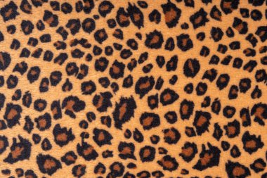 Leopar kürkünün dokusunu kapat