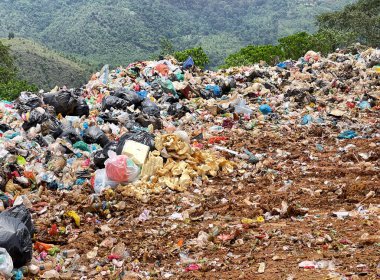 Ranau, Sabah Malezya 'da bir çöplükte gündüz görüntüsü