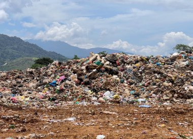 Ranau, Sabah Malezya 'da bir çöplükte gündüz görüntüsü