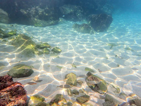 Море Невероятно Чистое Идеально Подходит Ныряния Отражения Камни Рисунок Песка — стоковое фото