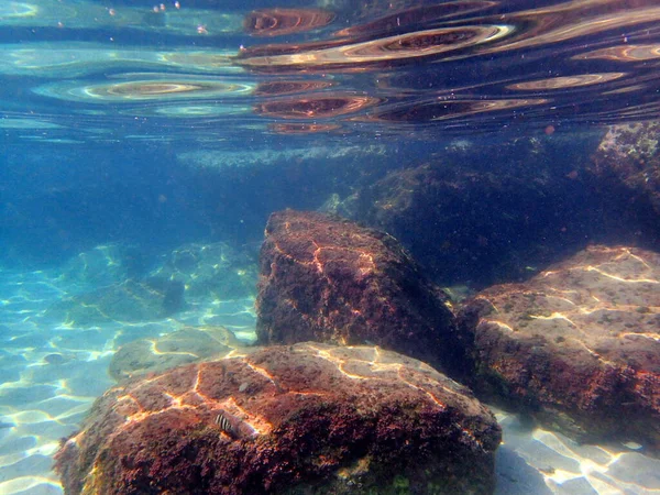 Morze Jest Niesamowicie Czyste Jest Idealne Snorkelinga Niesamowicie Piękny Świat — Zdjęcie stockowe